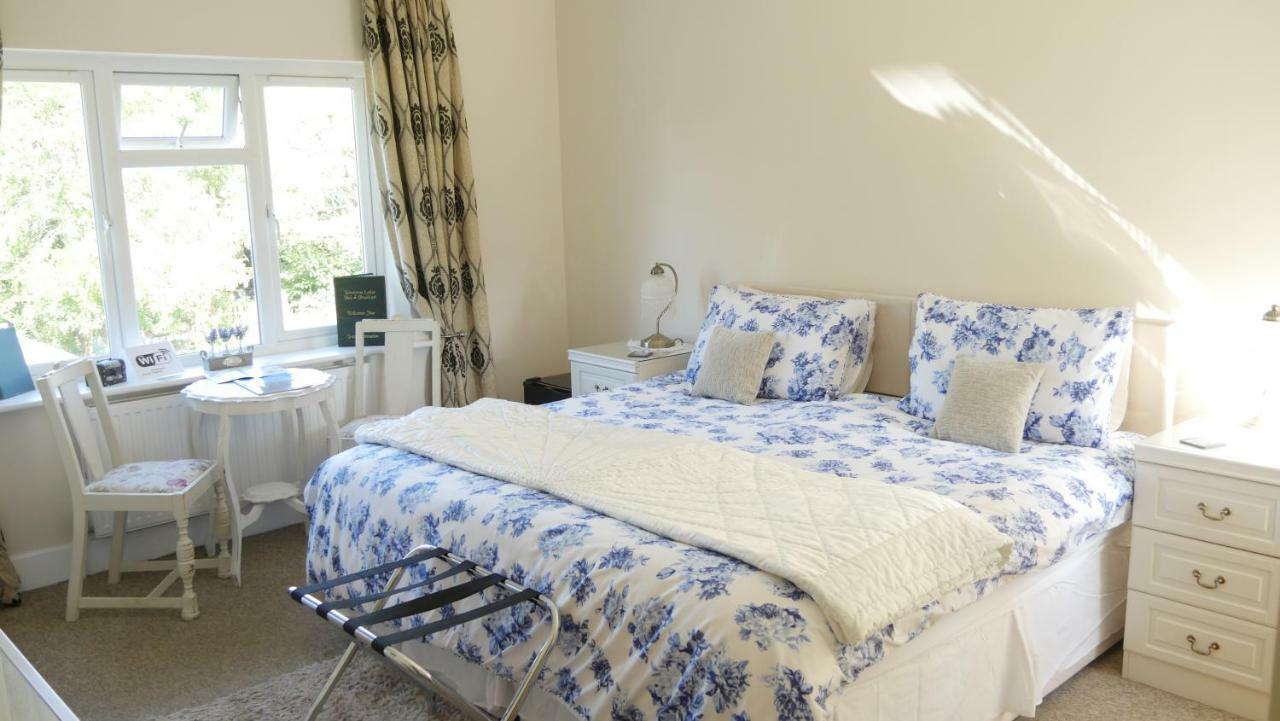 ويمبورن مينستر Wimborne Lodge المظهر الخارجي الصورة